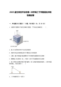 2025届甘肃省平凉市第一中学高三下学期模拟冲刺物理试卷（含答案解析）