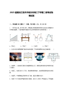 2025届黑龙江省齐齐哈尔市高三下学期二模考试物理试题（含答案解析）