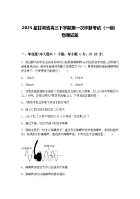 2025届甘肃省高三下学期第一次诊断考试（一模）物理试题（含答案解析）