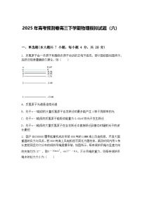 2025年高考预测卷高三下学期物理模拟试题（六）（含答案解析）