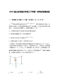 2025届山东省临沂市高三下学期一模考试物理试题（含答案解析）
