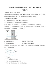 2024-2025学年湖南省永州市高一（下）期末质量监测物理试卷（含答案）