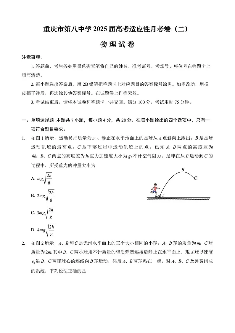 2025届重庆市第八中学高三下学期适应性月考卷-物理试题(含答案)第1页