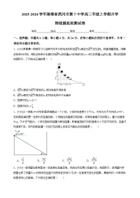 2025-2026学年湖南省武冈市第十中学高三上学期开学摸底检测物理试卷（解析版）