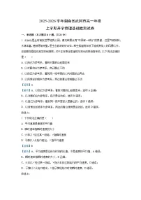 湖南省邵阳市武冈市2025-2026学年高一上学期开学基础检测物理试卷（解析版）