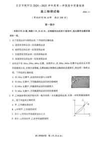 2025届北京市朝阳区高三下学期11月期中质量检测-物理试卷（含答案）