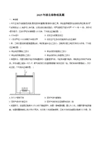 2025年高考湖北物理真题（含答案解析）