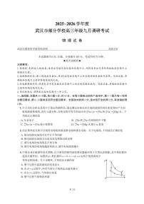 2026届湖北武汉高三年级九月调研考试物理试题（含答案）
