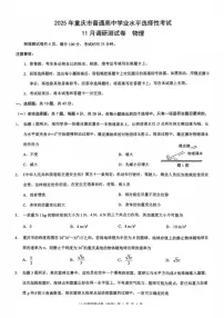 2025届重庆市康德卷高三下学期11月调研-物理试卷（含答案）