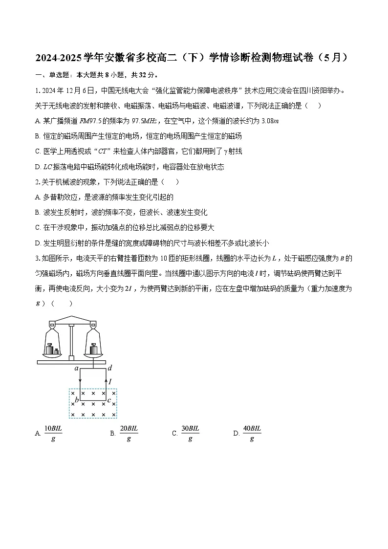 2024-2025学年安徽省多校高二(下)学情诊断检测物理试卷(5月)-自定义类型第1页