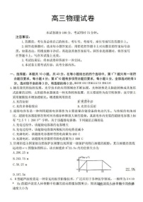 甘肃省金太阳暨陇南一诊2025届高三上学期1月期末考-物理试卷（含答案）