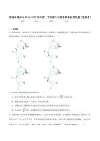 湖南省郴州市2024-2025学年高一下学期期末教学质量监测物理(选择考)试卷(含解析)