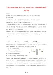 云南省西双版纳傣族自治州2024~2025学年度高二上册期末考试物理试卷（带答案）