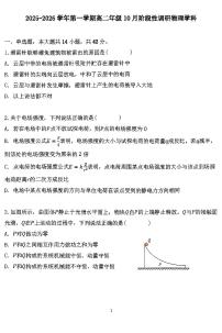 2025北京十一中高二上10月月考物理试卷