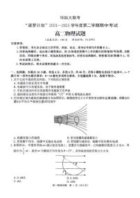 河南省驻马店市环际大联考”逐梦计划“2024-2025学年高二下学期5月期中考试物理试卷+答案