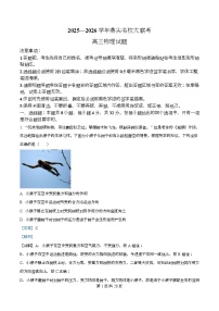 2026届安徽省顶尖名校大联考高三上学期10月月考物理试题（解析版）