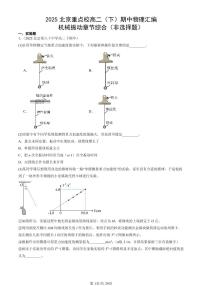 2025北京重点校高二（下）期中物理汇编：机械振动章节综合（非选择题）