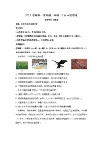 浙江省六校联盟2025-2026学年高一上学期10月月考物理试卷（学生版）