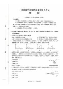 湖南省部分学校2026届高三上学期10月阶段监测联合考试物理试题（PDF版附解析）