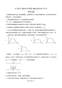 四川省泸州高级中学2025届高三上学期10月月考物理试题（Word版附解析）