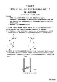 河南省驻马店市环际大联考2024-2025学年高一下学期阶段考试（一）物理试卷