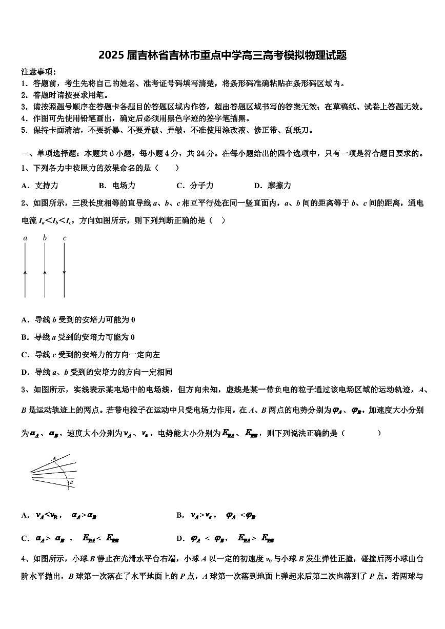 2025届吉林省吉林市重点中学高三高考模拟物理试题第1页