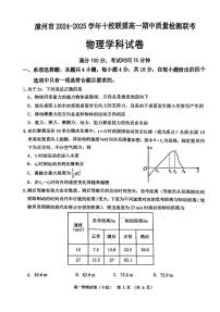 福建省漳州市十校联盟2024-2025学年高一上学期期中物理试题含答案