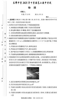 湖南长郡中学2025-2026学年高二上学期期中物理试题+答案
