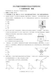 重庆联考2026届高三上学期11月调研测试物理试卷+答案