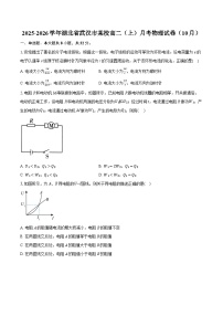 2025-2026学年湖北省武汉市某校高二（上）月考物理试卷（10月）