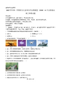 浙江省浙东北县域名校发展联盟（ZDB）2026届高三上学期11月诊断测试（一模）物理试卷（Word版附解析）