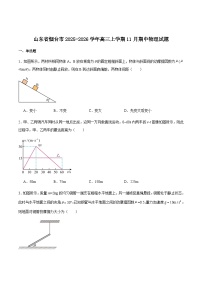 山东省烟台市2026届高三上学期期中学业水平诊断物理试卷（含答案）