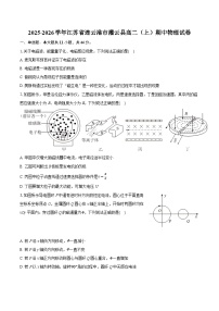 2025-2026学年江苏省连云港市灌云县高二（上）期中物理试卷