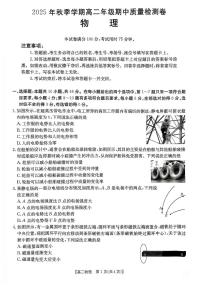广西壮族自治区来宾市第八中学2025-2026学年高二上学期11月期中物理试题