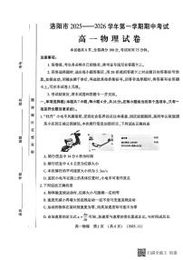 河南省洛阳市2025-2026学年高一上学期期中考试物理试卷