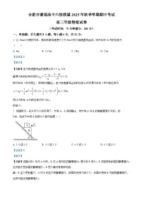 安徽省合肥市普通高中六校联盟2025-2026学年高三上学期11月期中考试物理试卷（Word版附解析）