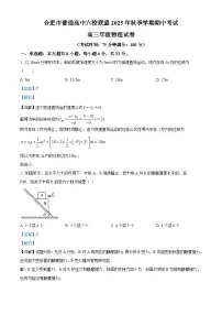 安徽省合肥市普通高中六校联盟2025-2026学年高三上学期11月期中考试物理试卷(Word版附解析)