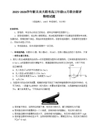 河南省新未来大联考2025-2026学年高三上学期11月考试物理试卷