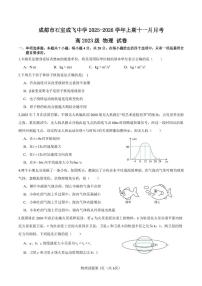 四川省成都市石室成飞中学2025-2026学年高三上学期11月月考物理试卷(含答案)