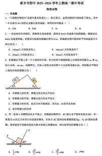 河南省新乡市河南师范大学附属中学2025-2026学年高一上学期11月期中考试物理试题