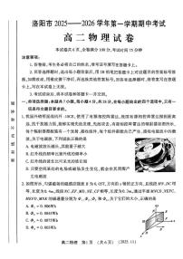 河南省洛阳市2025-2026学年高二上学期11月期中物理试题含答案含答案解析