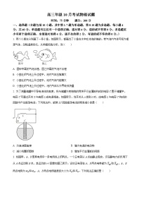 湖北省华中师范大学第一附属中学2026届高三上学期10月月考物理试题（Word版附解析）