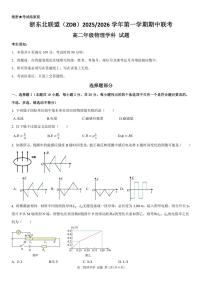 浙江省浙东北县域名校发展联盟2025-2026学年高二上学期11月期中联考试题（ZDB）物理试题（PDF版，含答案）含答案