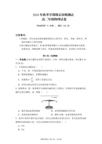 云南省西双版纳傣族自治州第一中学等四校2024-2025学年高二上学期期末检测物理试卷