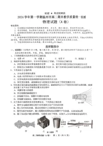 浙江省温州市2024-2025学年高二上学期期末教学质量统一检测物理试卷（A）