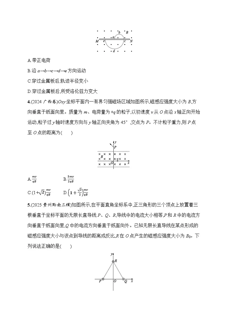 2026届高三物理二轮复习试题专题分层突破练8.磁场带电粒子在磁场中的运动(Word版附解析)第2页