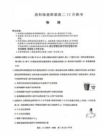 物理-河南洛阳九师联盟2024-2025学年高二上学期12月联考试题及答案