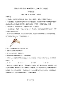 重庆市西南大学附属中学2025-2026学年高一上学期11月定时检测（期中）物理试卷（Word版附解析）
