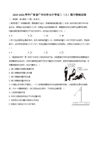 2025-2026学年广东省广州市仲元中学高二(上)期中物理试卷(含答案)