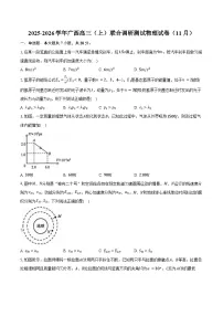 2025-2026学年广西高三(上)联合调研测试物理试卷(11月)(含答案)